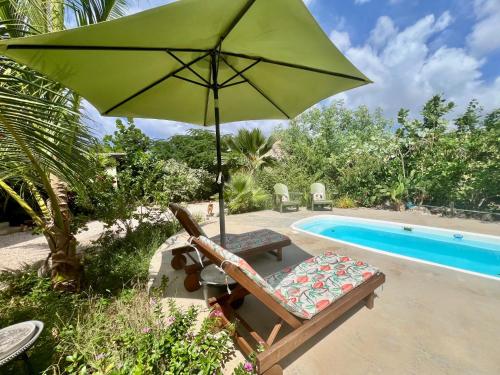 a green umbrella and a chair next to a pool at The Octopus Tropical Oasis in Sint Michiel