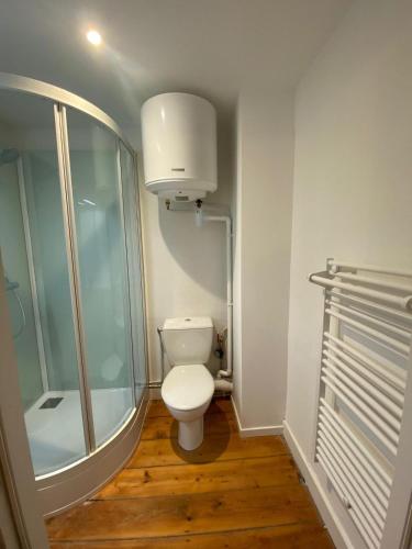 une petite salle de bain avec toilettes et douche dans l'établissement L'Imprimerie C2, studio cosy au coeur La Roche, à La Roche-sur-Yon