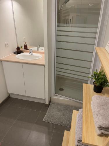 a bathroom with a sink and a shower at Appartement T1 Colomiers proche AIRBUS in Colomiers