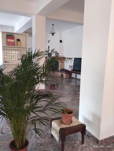 a living room with potted plants and a table at Ananda House in Ciofliceni