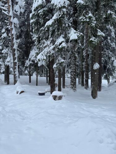 a park covered in snow with trees in the background at Borovetz Gardens MVS Apart E28 in Borovets