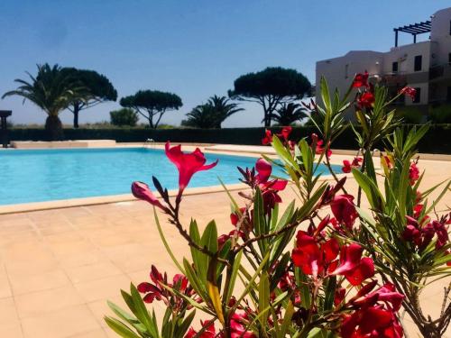 Studio sur plage avec piscine et balcon vue mer