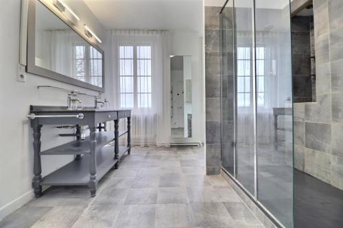 a bathroom with a sink and a shower at Domaine de Bonaveau - Spa & Piscine in Barcelonne