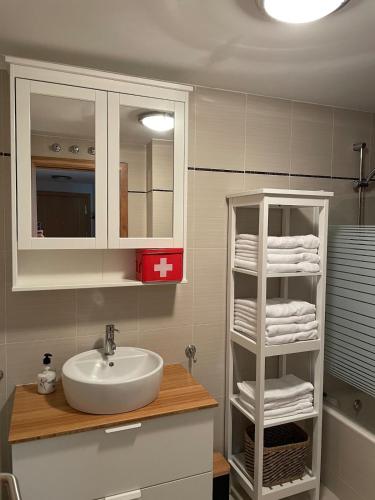 a bathroom with a sink and a shelf with towels at Apartamento Villanua centro in Villanúa