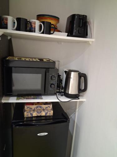 a kitchen with a stove and a microwave on a shelf at Amour majestique in Paris