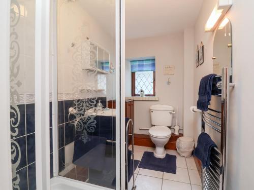 ein Badezimmer mit Dusche und Toilette in der Unterkunft Old Farm Cottage in Ilfracombe