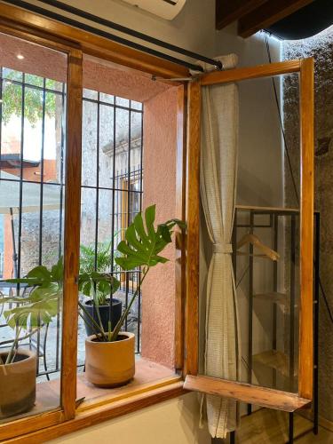a window with two potted plants in a room at Hacienda Álamos in Laborcillas