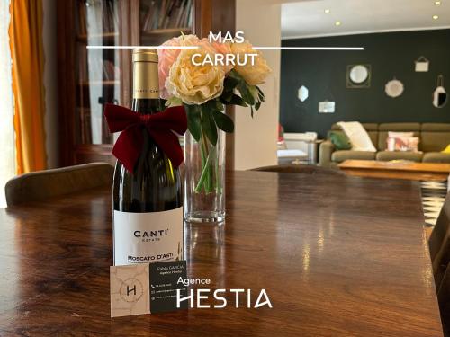 Mas Carrut pool and comfort