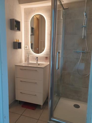 une salle de bain avec une douche, un lavabo et un miroir dans l'établissement les jardins de l'archevêché, à Narbonne