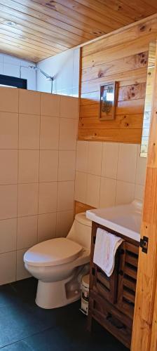 a bathroom with a toilet and a sink at Refugio Silvestre Parque Nacional Siete Tazas-Salida a río y pesca in El Bolsico