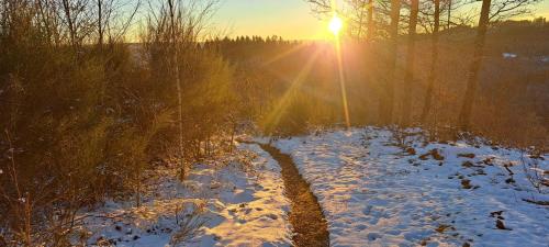 a snow covered field with the sun in the background at Pintxos in Malmedy