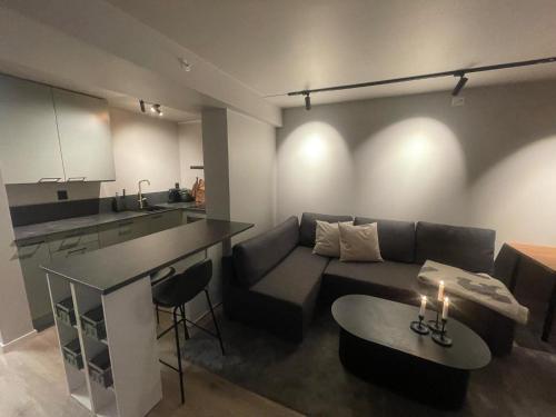Η κουζίνα ή μικρή κουζίνα στο Newly renovated apartment in the middle of Trondheim city centre