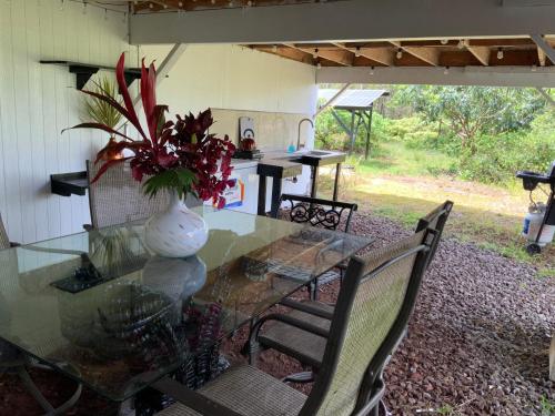 Κήπος έξω από το Simply convenient tropical country studio