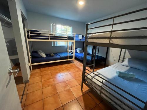 a room with two bunk beds and a hallway at Beds & Sheets little Havana in Miami