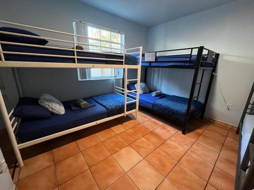 two bunk beds in a room with blue beds at Beds & Sheets little Havana in Miami