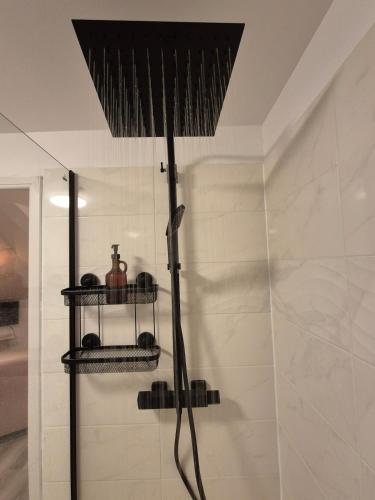 une salle de bain avec une douche avec pommeau de douche dans l'établissement La Canopée de Vichy - 4min Gare, à Vichy