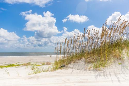 a beach with tall grass in the sand and the ocean at 103 Terraces at Beachside in Amelia Island