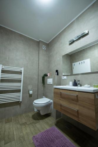 a bathroom with a toilet and a sink at Central Residence in Baia Mare