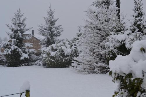a group of trees covered in snow in front of a house at Gîte La Clef des Champs in Libin