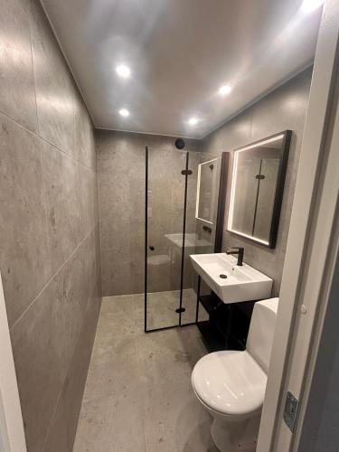 a bathroom with a white toilet and a sink at The Scandic Luxe- Stockholm Arlanda in Stockholm