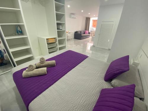 Alaram Holidays House