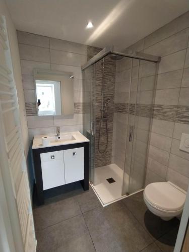 une salle de bain avec une douche, des toilettes et un lavabo dans l'établissement Agréable studio centre-ville Concarneau, à Concarneau