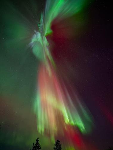 Imagen de la galería de Holiday in Lapland, en Vormsele
