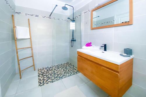 een badkamer met een wastafel en een ladder bij Mqro11 4 et 1 in Le Robert