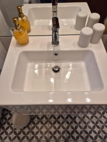 a white sink in a bathroom with two bottles at Mitten im Grünen - Apartment mit Wohlfühlcharakter in Stadtrandlage in Eutin