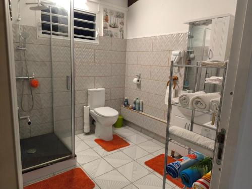 ein Bad mit einer Duschkabine und einem WC in der Unterkunft Villa de la montagne in Pointe-Noire