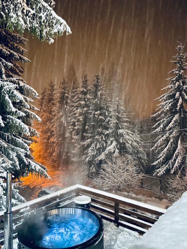 a jacuzzi tub in the snow with a forest at Hill House SD in Topliţa