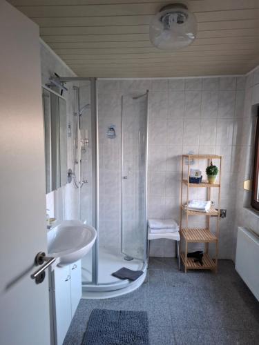 a bathroom with a shower and a sink at Schöne 3 Zi. Ferienwohnung vor den Toren Frankfurt in Dreieich