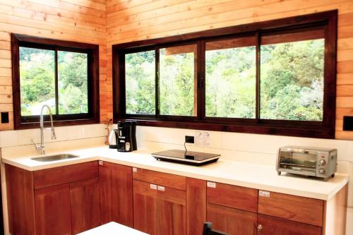 a kitchen with a sink and two windows at Casa Buena Vista San Gerardo de Dota in San Gerardo de Dota