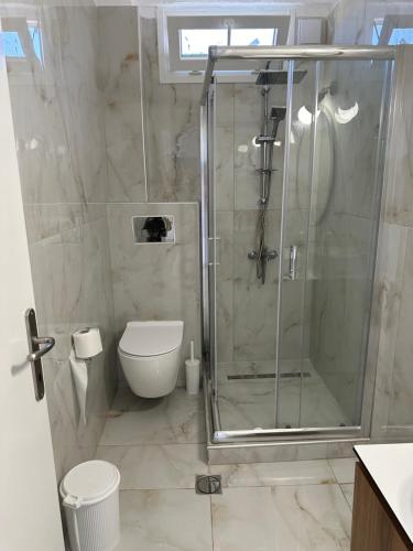 a bathroom with a shower and a toilet at I&L Apartments in Asprovalta