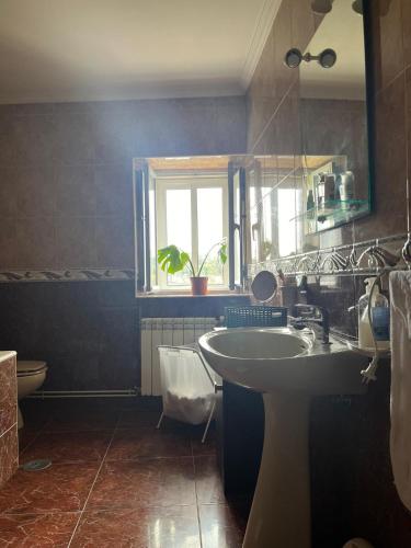 a bathroom with a sink and a toilet and a window at Rincón rural in Tomonde
