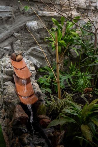 a water feature in a garden with a fountain at Corazón Verde in Itagüí