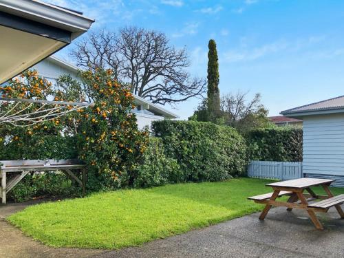 a picnic table in a yard with an orange tree at The Publican's Palace in Whitianga