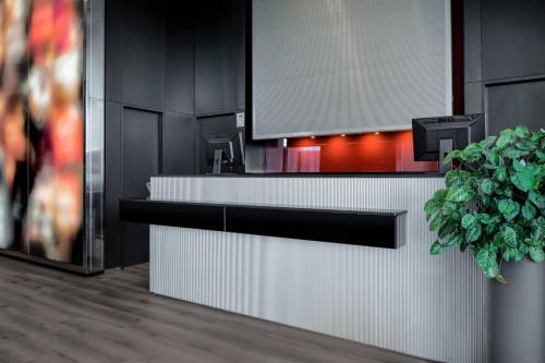 a kitchen with a counter with a potted plant at AC Hotel Algeciras by Marriott in Algeciras