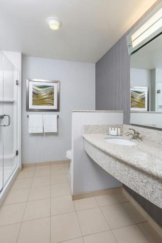 a bathroom with a sink and a toilet and a mirror at Courtyard by Marriott Kalamazoo Portage in Portage