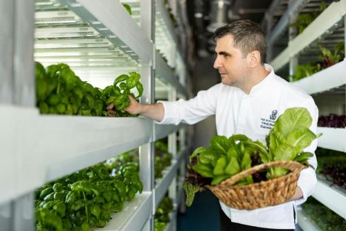 a man is selecting greens in a supermarket aisle at The Ritz-Carlton Abu Dhabi, Grand Canal in Abu Dhabi
