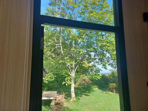 a window view of a tree and a picnic table at Kereru Creek by Tiny Away in Tataraimaka