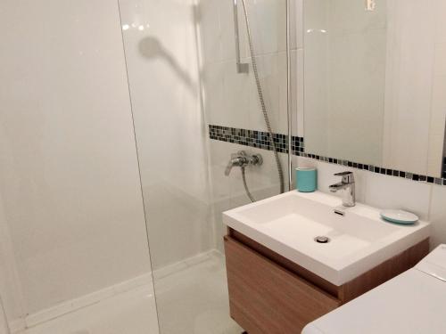 une salle de bain avec un lavabo et une douche dans l'établissement Appartement spacieux, coeur de station, jusqu'à 6 pers, équipé et proche remontées mécaniques - FR-1-771-75, à Les Adrets