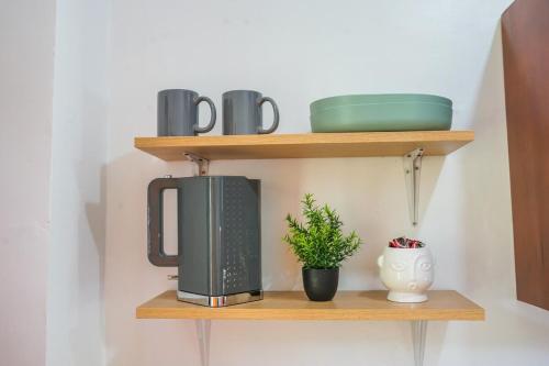 a shelf with a television and a plant on it at Cozy Loftbed Netflx Wi-Fi Ligao Natl Rd with Parking Rm 304 2F in Ligao