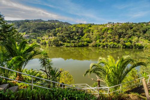 a view of a lake with palm trees and mountains at Quinta de São Francisco in Cinfães