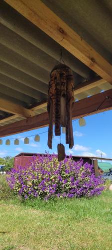 a chandelier hanging from a roof over purple flowers at Cafofo SE RESERVA CON SEÑA in Barra del Chuy