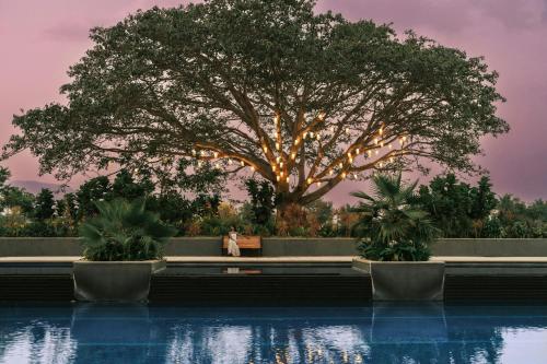 a woman standing in front of a tree next to a pool at JW Marriott Hotel Bengaluru Prestige Golfshire Resort & Spa in Bengaluru