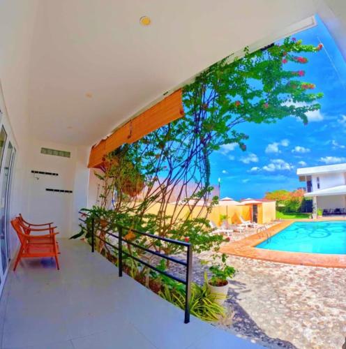 a house with a view of a swimming pool at Divers Lodge Plumeria in Moalboal