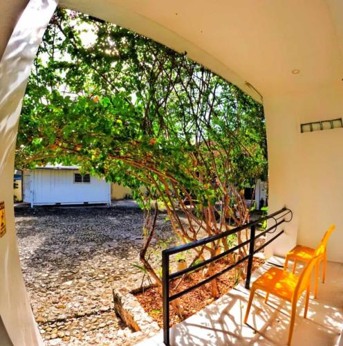 a view of a tree from the outside of a house at Divers Lodge Plumeria in Moalboal
