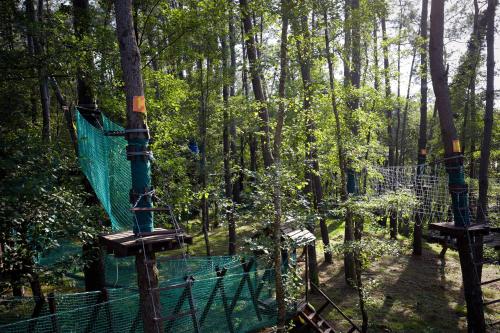 a batting cage in the middle of a forest at Paragraph Resort & Spa Shekvetili, Autograph Collection in Shekvetili