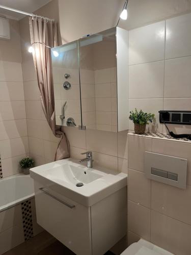 Un baño con lavabo, espejo y bañera. en BUDE 55 Loft 31, en Winterberg